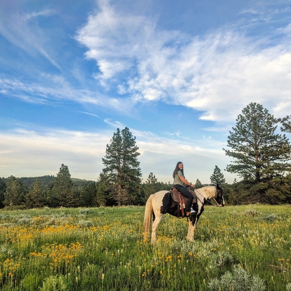 Meet your Posher, Laura - Picture 1 of 1